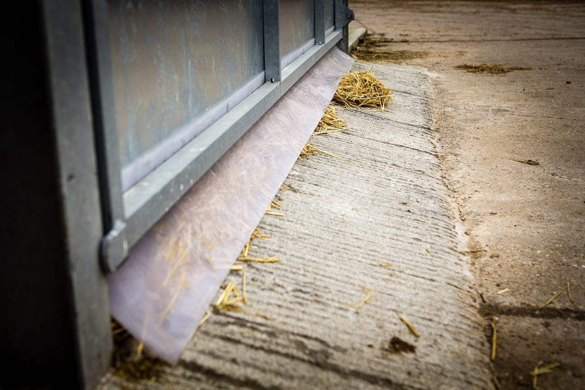 Draught excluder in dairy calf housing.
